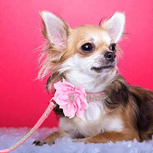 PET ARTIST Animal Collar in M:Neck 12-14.5"(15-30 lbs), Pink Set