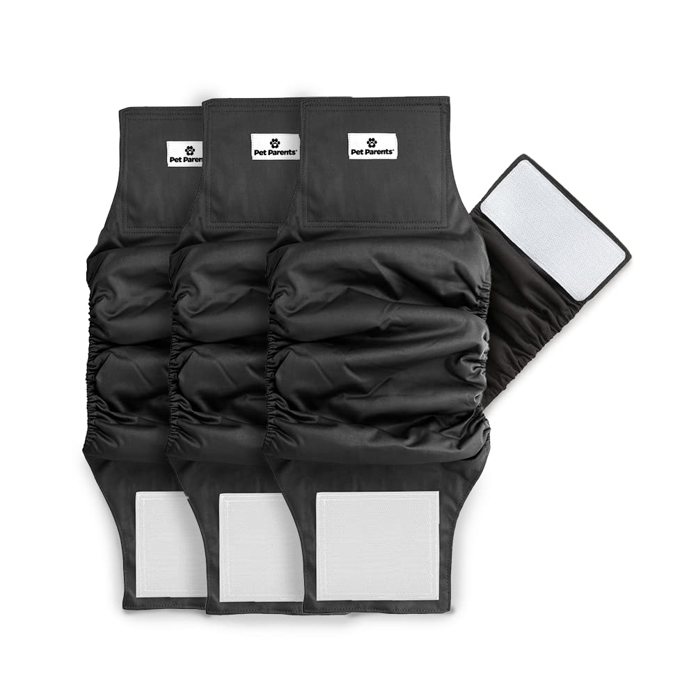 Pet Parents Animal Incontinence Protector in X-Small (11-13"), Black