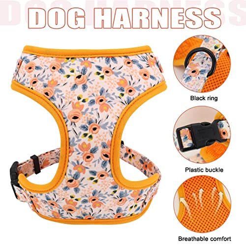 Beirui Animal Harness in S:Fit 12-20 lbs, Orange