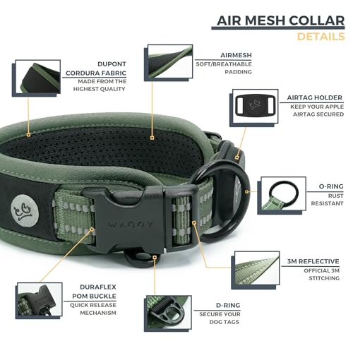WaggyLife Animal Collar in XS (11.8"-13.8"), Green