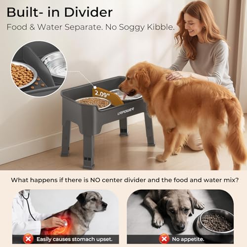URPOWER Pet Feeder in Medium, Grey