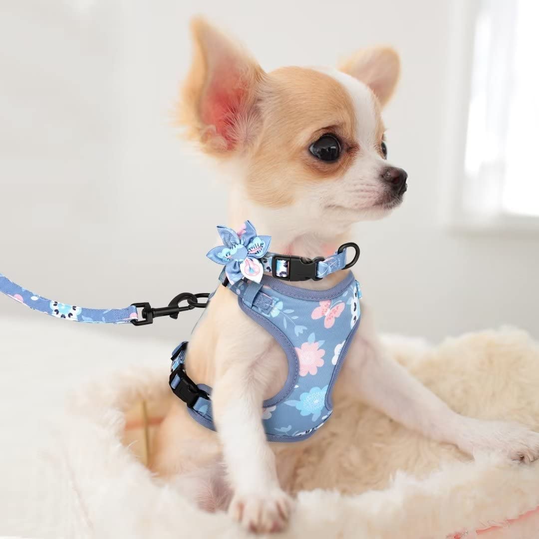 Beirui Animal Harness in XXS:Fit 2-6 lbs, Purple