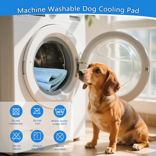 dgdgbaby Pet Bed Mat in Small, Blue
