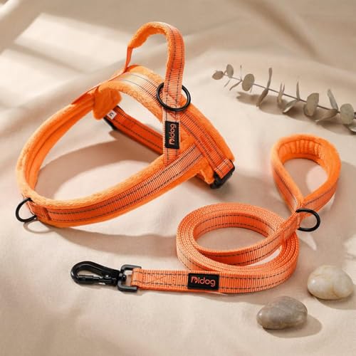 Didog Leash in 3/4''x 6 FT, Orange