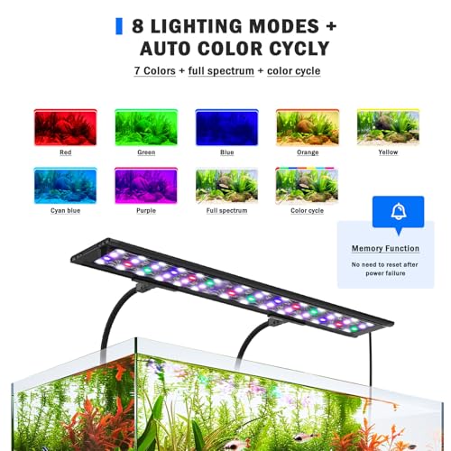 AQQA Electric Light in Black
