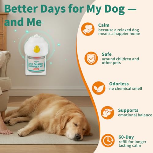 Pawith Pet Supplies in cyan