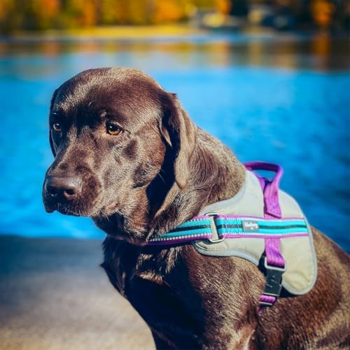 Blueberry Pet Animal Harness in Medium, Blue-gray and Olive