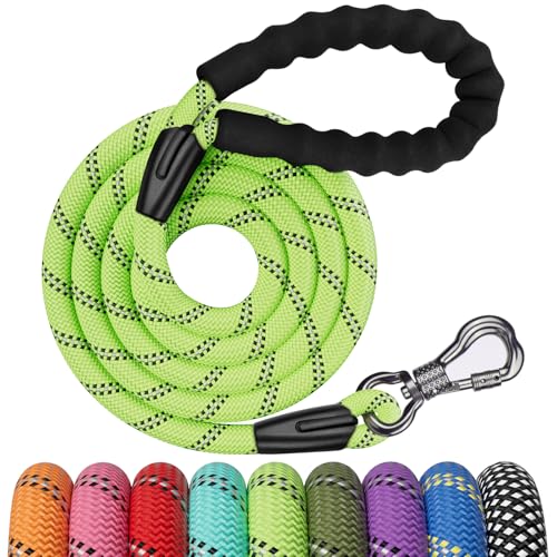 NTR Leash in 6ft*1/2", Green