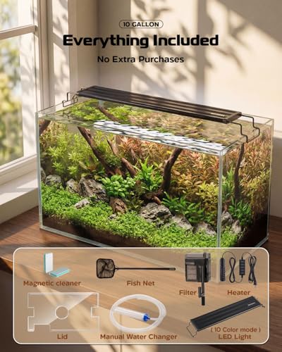 minilake Vivarium in 10 Gallon, Transparent