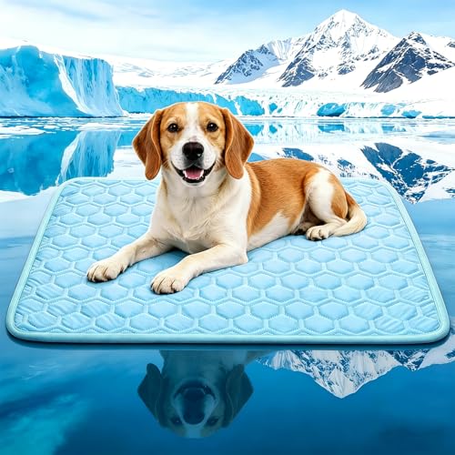 dgdgbaby Pet Bed Mat in Medium, Blue
