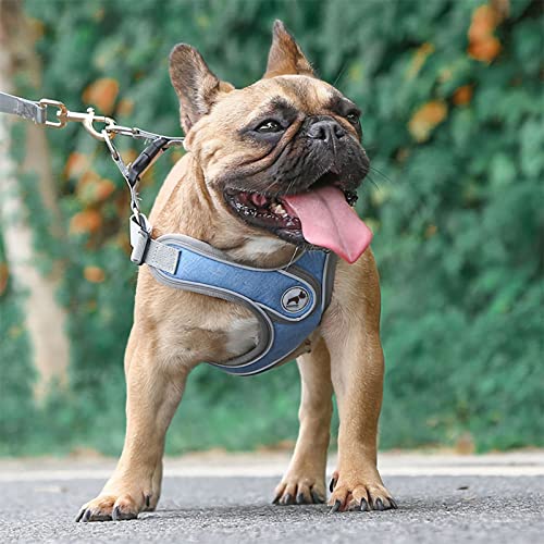 SAEGYPET Animal Harness in L, Blue