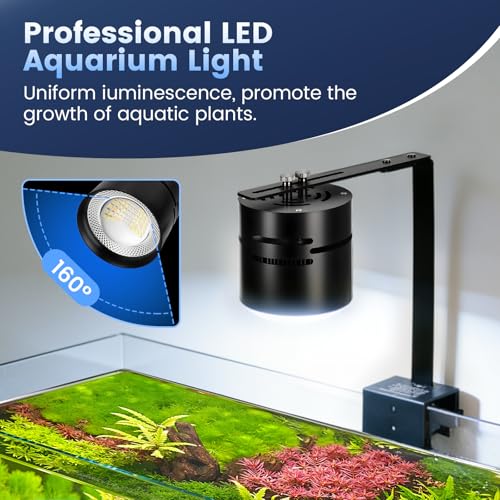 AQQA Electric Light in up to 48 Inches, Black