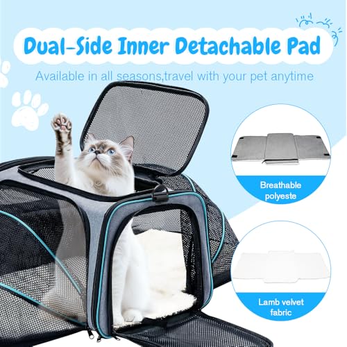 Srinlon ㅤ Animal Carrier in 18.0"L x 11.0"W x 11.0"H, Blue