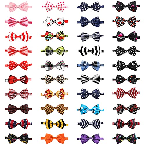 Segarty Pet Apparel in 40PCS, 40pcs-vivid