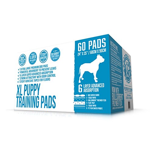 Bulldogology Pet Solutions Disposable Incontinence Surface Protector in 360-Count (24x35), White