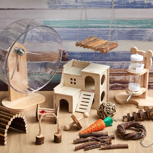 Sonwyoung Pet Activity Structure in natural