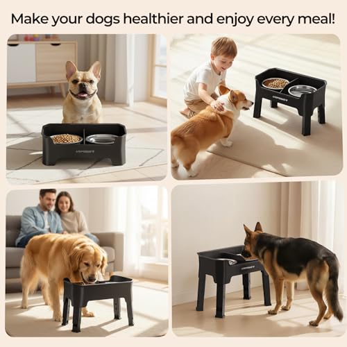 URPOWER Pet Feeder in Medium, Black