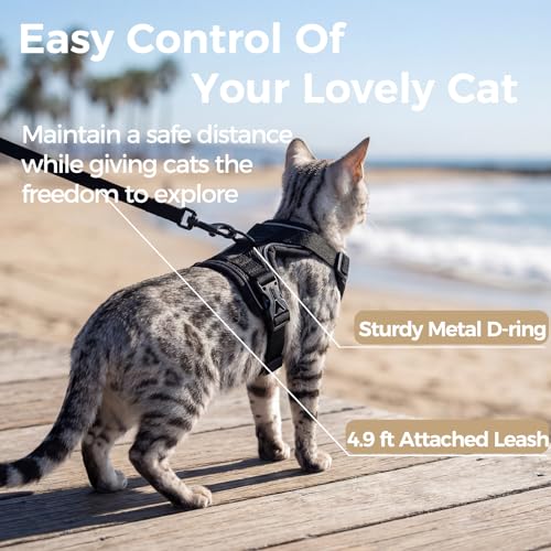 pangdi Animal Harness in Small, Black