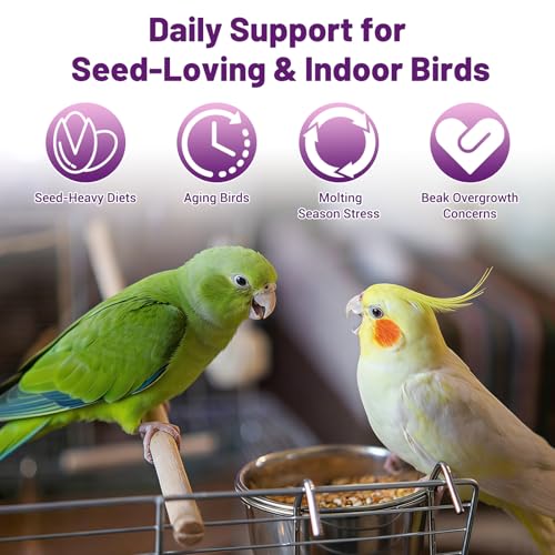 Duduboy Pet Supplies in Amber bottle