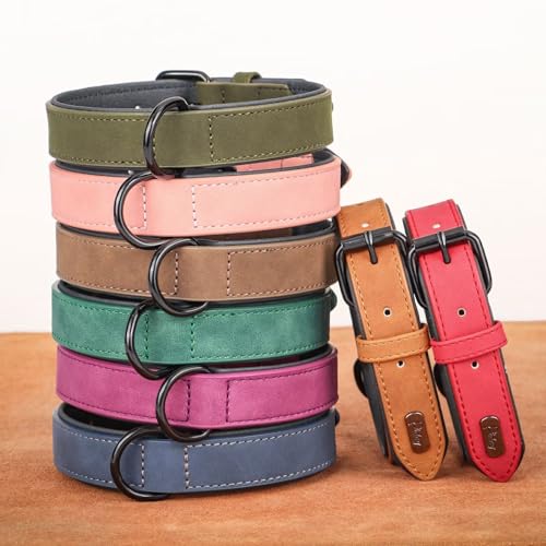 Didog Animal Collar in M: Fit Neck 11-14"(10-20 lbs), Dark Green