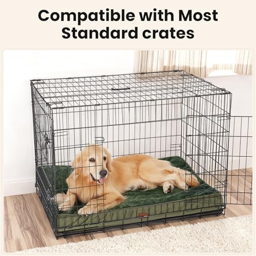OhGeni Pet Bed Mat in 41" x 28" x 4" (For Crate), 05-Green