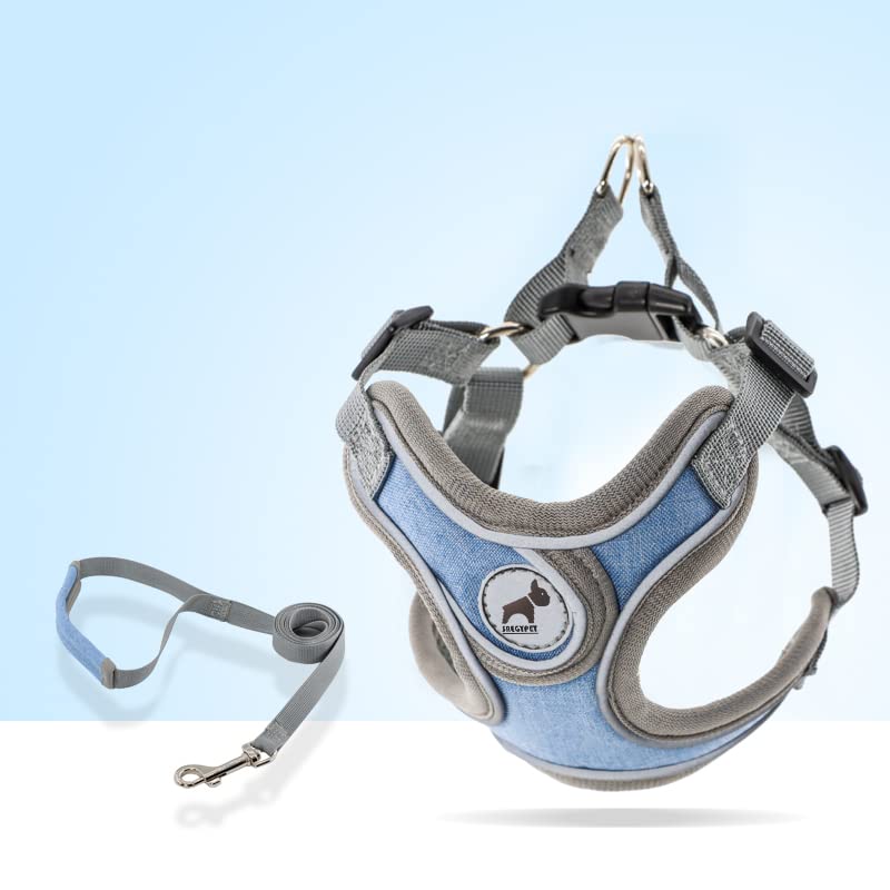 SAEGYPET Animal Harness in XS, Blue