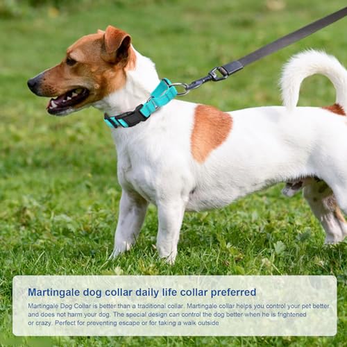 GDLKPS Animal Collar in XS:3/4" Wide for 11.5"-13.5" Neck, Green