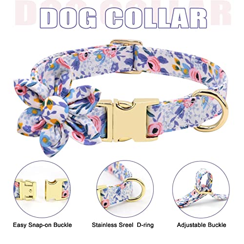 Beirui Animal Harness in XS:Fit 6-12 lbs, Blue