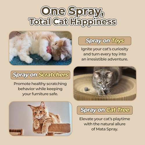JAYU PET Pet Toy in 1fl oz, Mata