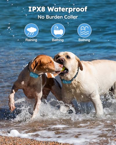 Jugbow Animal Collar in 7.8-24.4 inches, Blue 2 pack