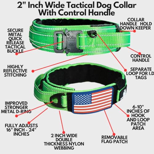 DEZIZEUSK9 Animal Collar in 16-25 INCH, NEONGREEN-COBVEL2