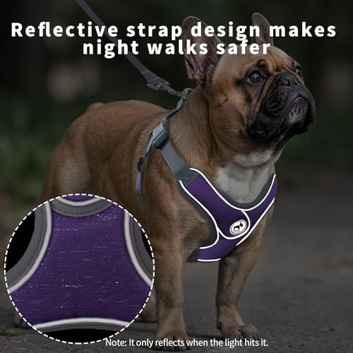 SAEGYPET Animal Harness in XS, Purple