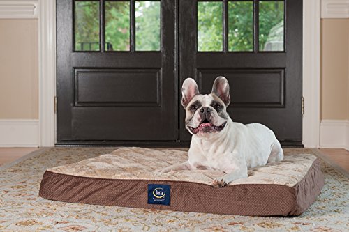 Serta Pet Bed Mat in Large, Mocha