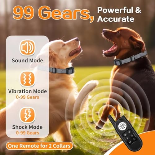 UbaNinva Animal Collar in Black