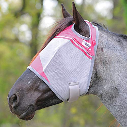 Cashel Pet Pest Control in Medium, Pink
