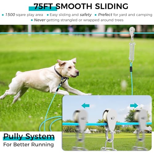 Snagle Paw Leash in 75ft run cable+10ft tie out cable, Teal for 250lbs dogs