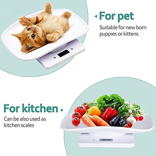 DWSFADA Weigh Scale in 11.42x7.09x1.57 Inch (Pack of 1), 22 lb Scale