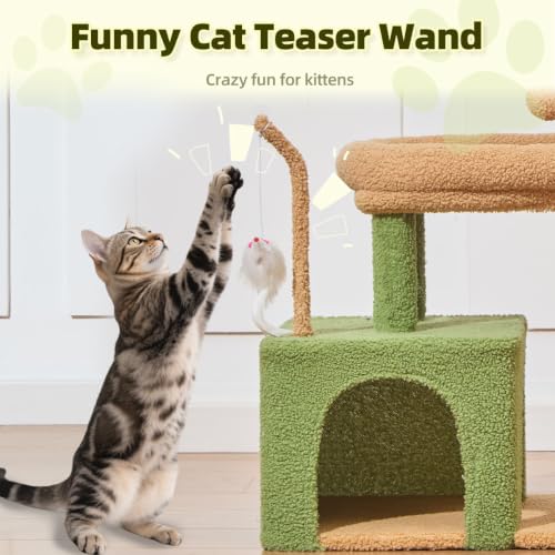 Taoqimiao Pet Activity Structure in L, Cactus