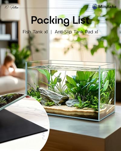 minilake Vivarium in 10 Gallon, Transparent
