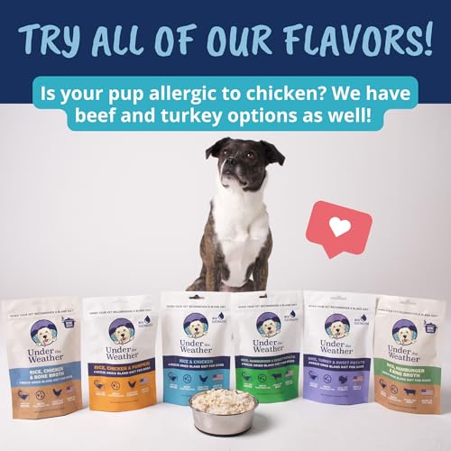 Under the Weather Pet Food in 6 Ounce (Pack of 1)