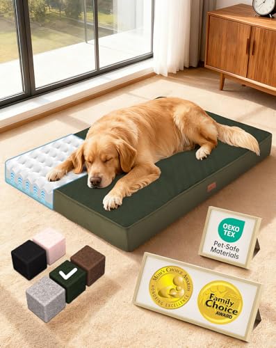 OhGeni Pet Bed Mat in 41" x 28" x 4" (For Crate), 05-Green