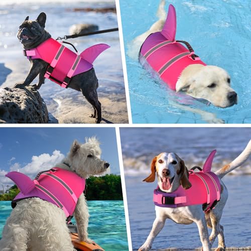 Doglay Pet Apparel in X-large, Gradient Pink Purple