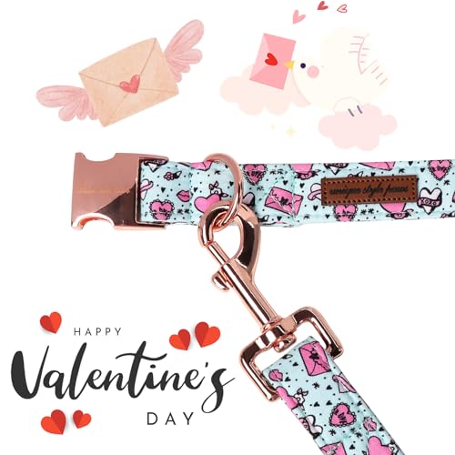 Unique style paws Animal Collar in S, letter-leash