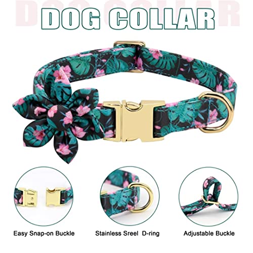 Beirui Animal Harness in XS:Fit 6-12 lbs, Green