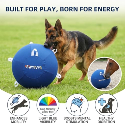 SWYIVY Recreation Ball in 25 Inch, Blue with Cover