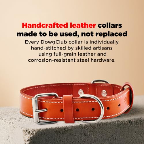DowgClub Animal Collar in S (11"-14"), Red