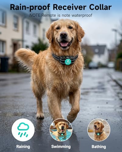 PATPET Animal Collar in 15-100Lbs, Teal