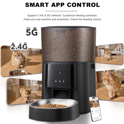 MZZ Pet Feeder in Black