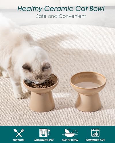 vancasso Pet Feeder in 2 Pack-Food & Water Bowls, Brown