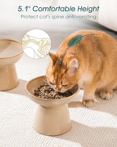 vancasso Pet Feeder in 2 Pack-Food & Water Bowls, Brown
